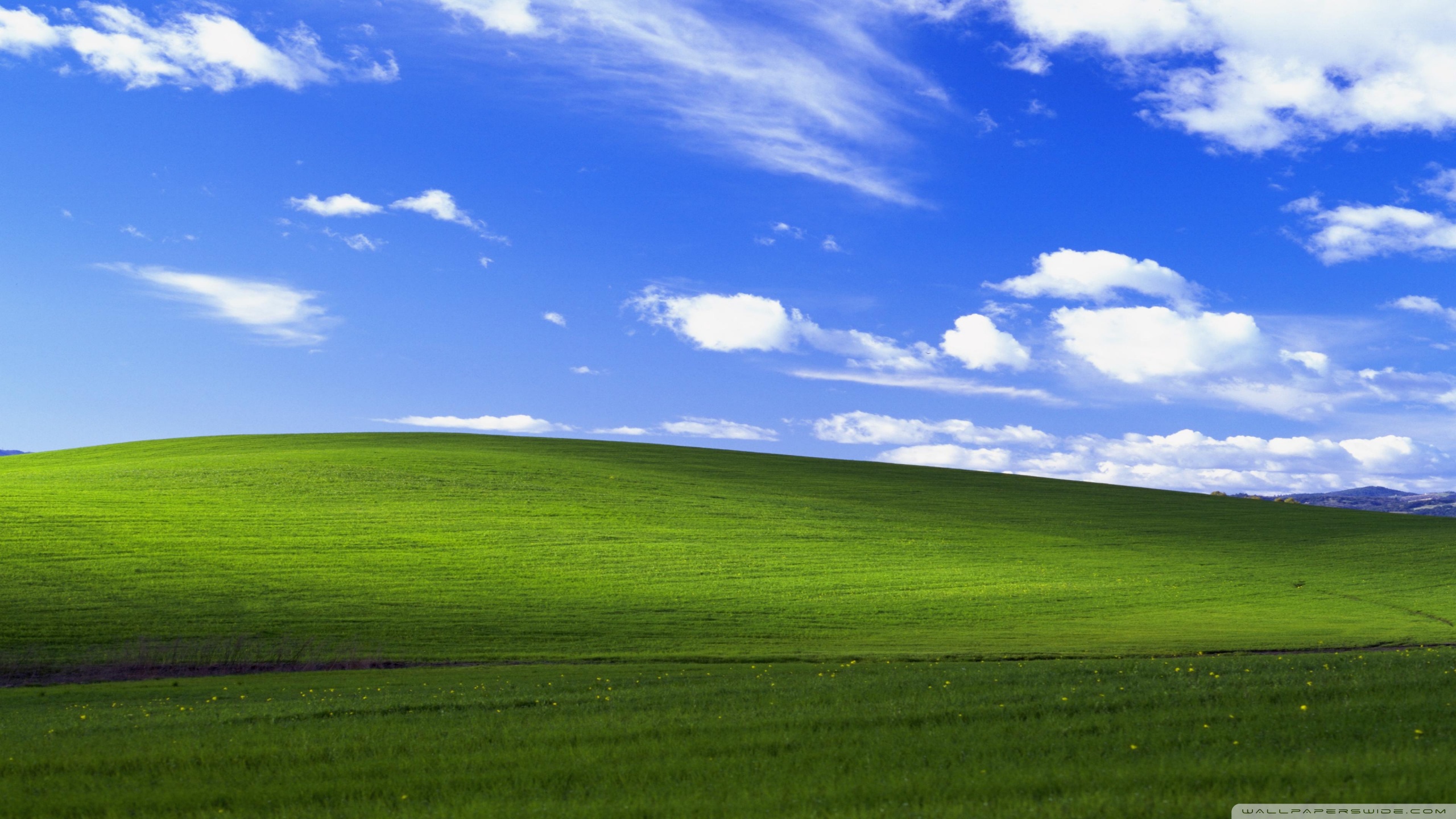 alasin Profile Banner
