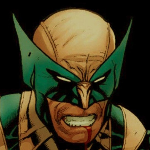 Wolverine Streams Class Cover