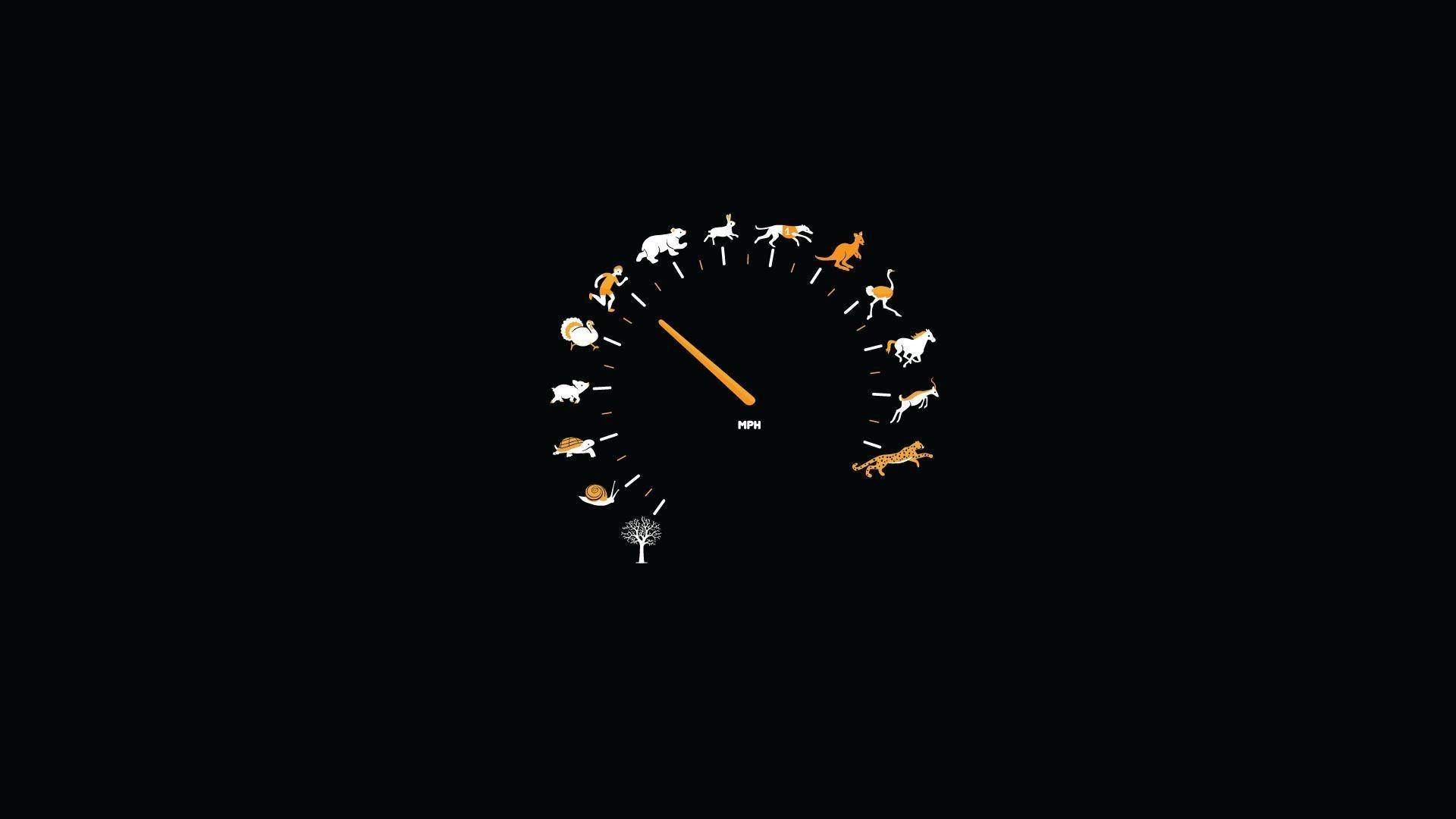 dashmamad Avatar