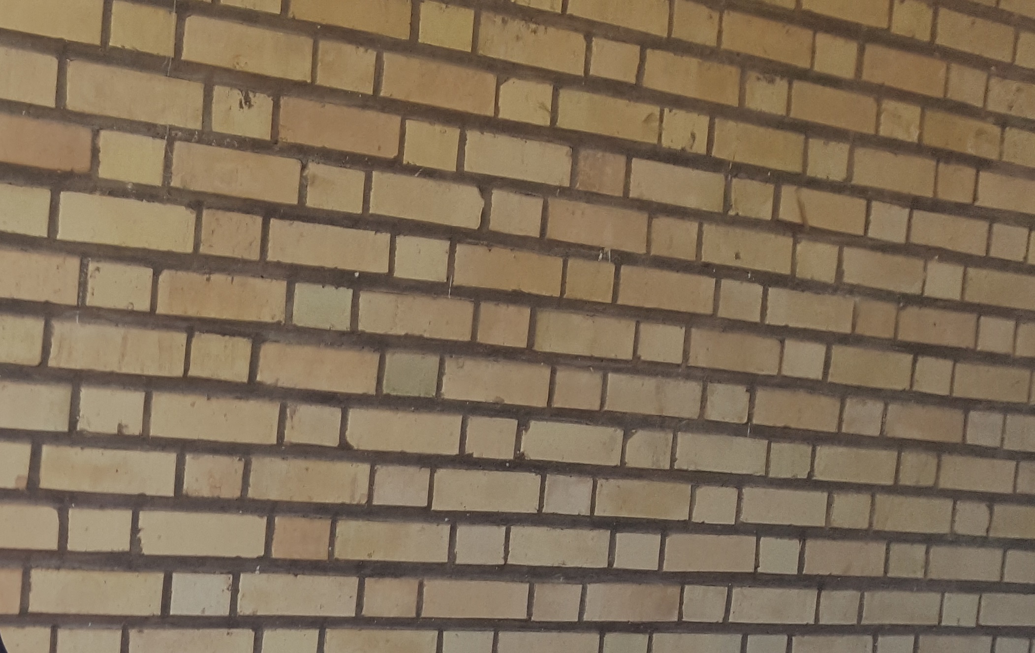 Iman Profile Banner