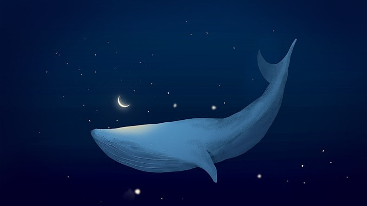  Profile Banner