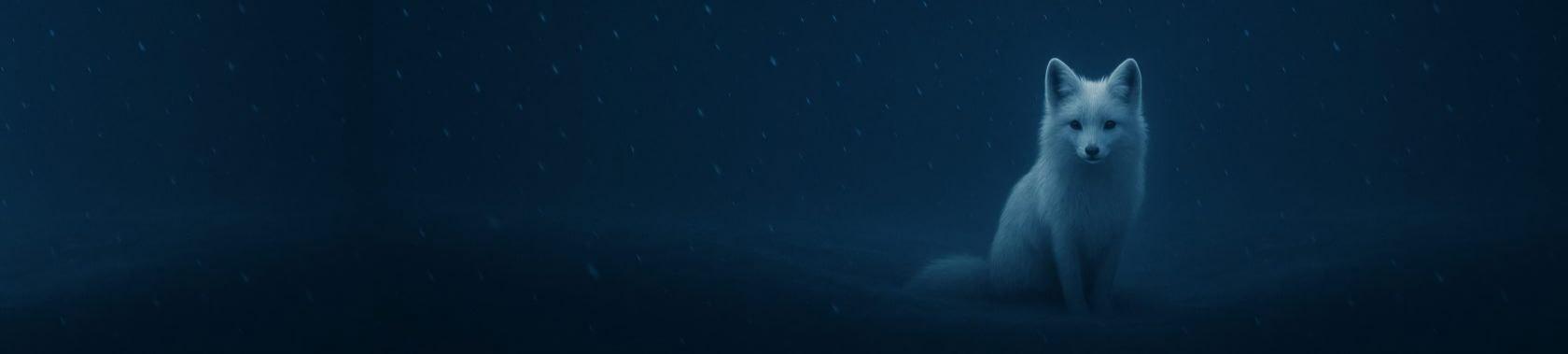 Kitper Profile Banner
