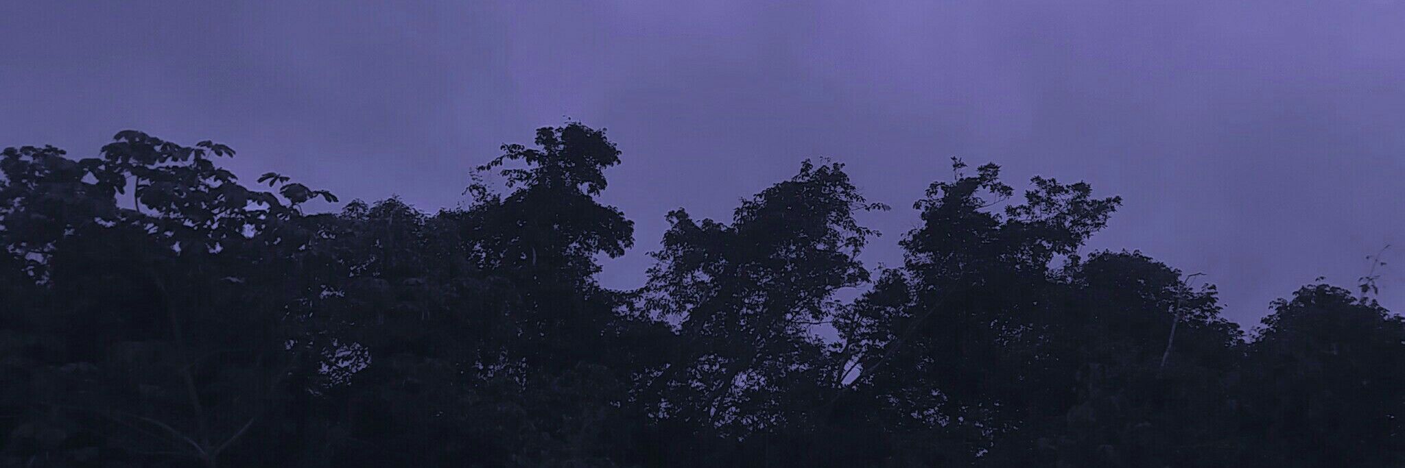 Abolfazl Profile Banner